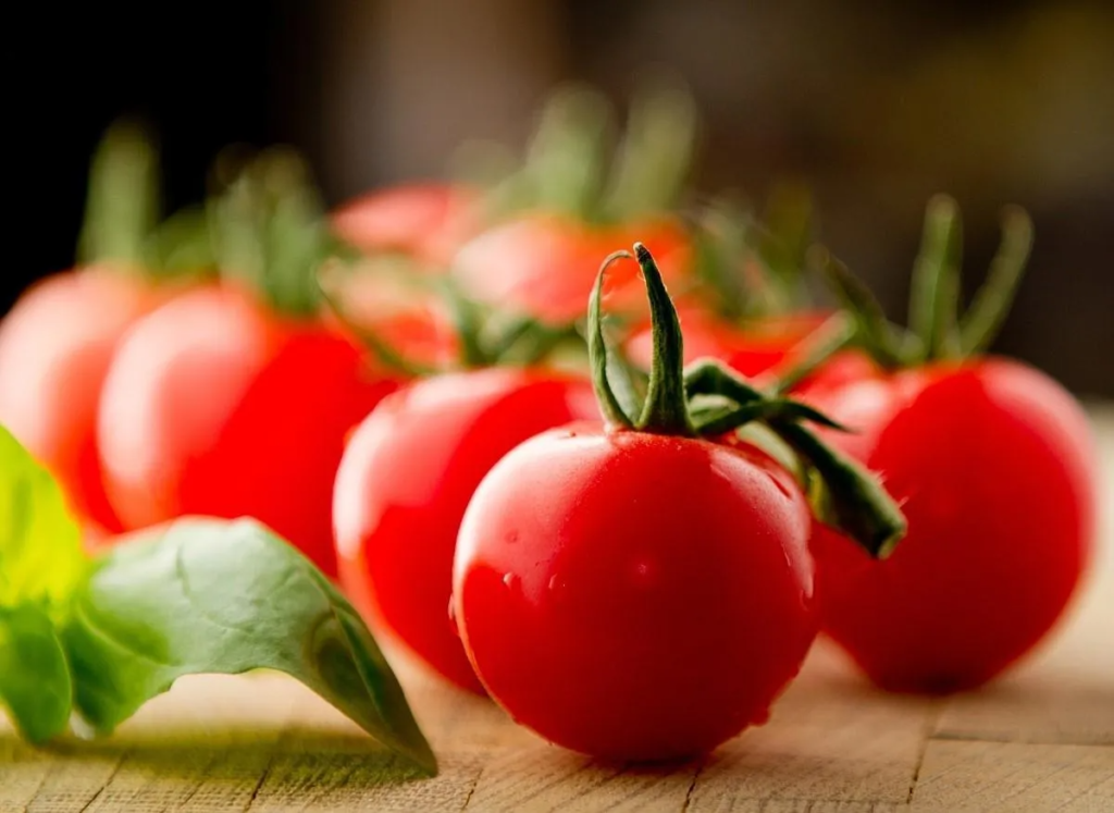 Benefits of Tomatoes for Dogs