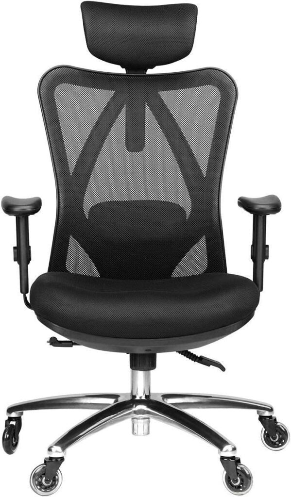 Duramont DDC312 Ergonomic Office Chair