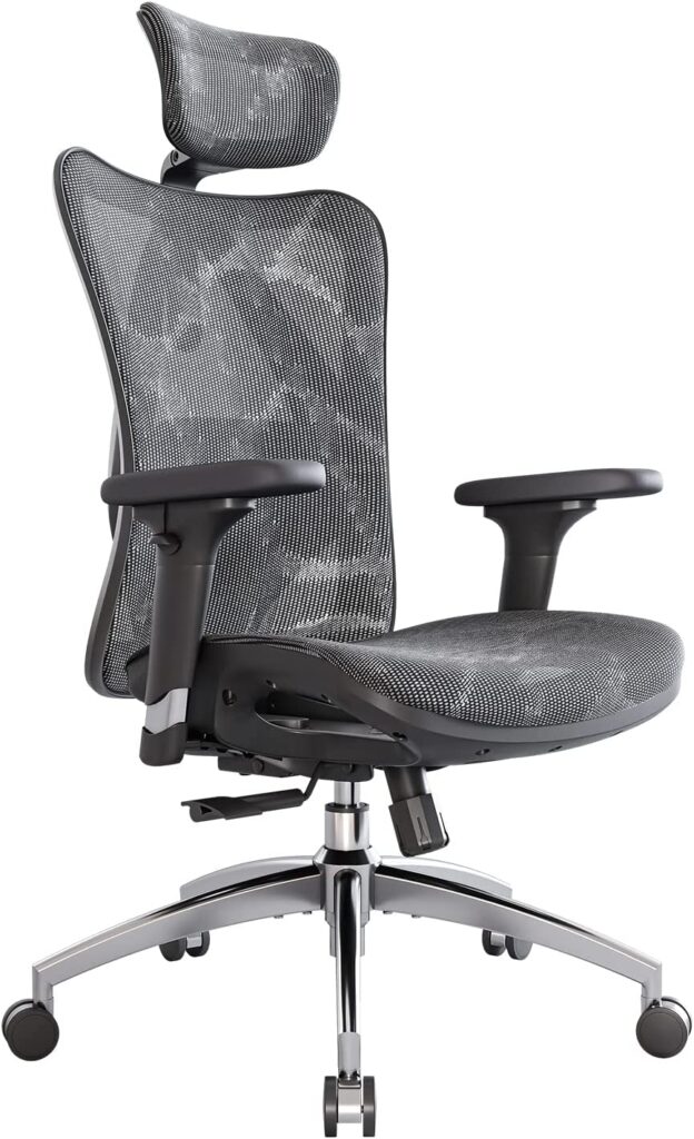 SIHOO ‎M57-M113 Best Ergonomic Office Chair