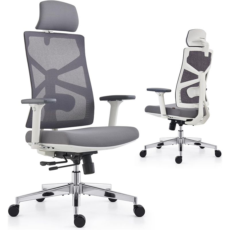 Ergonomic Office Chair for Work From