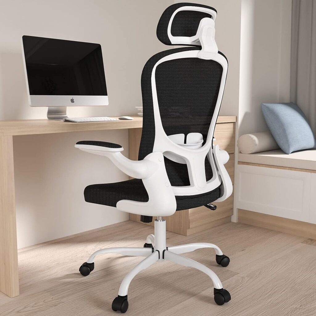 Silybon Best Ergonomic Office Chair