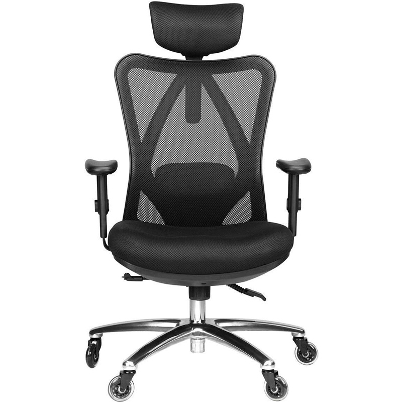 Duramont 6 Best Ergonomic Office Chair for Students