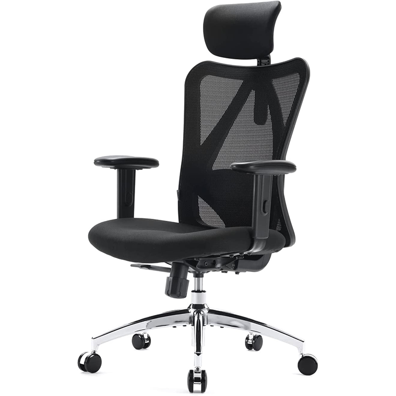 SIHOO M18 Ergonomic Chair for home office