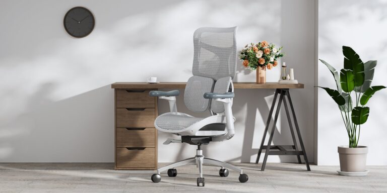 NEW Sihoo Doro S100: Redefining Comfort in 2024's Ergonomic Office Chairs