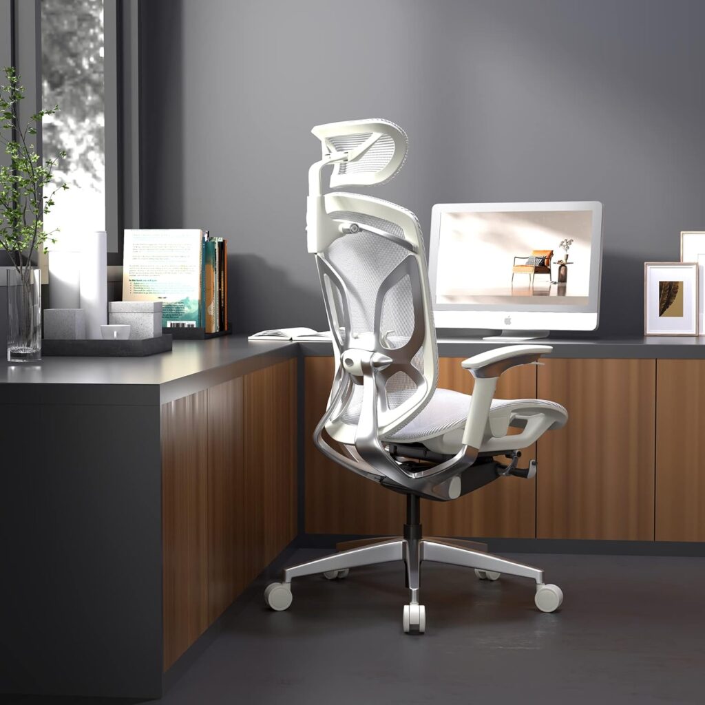 ERGOUP Ergonomic Office Chair
