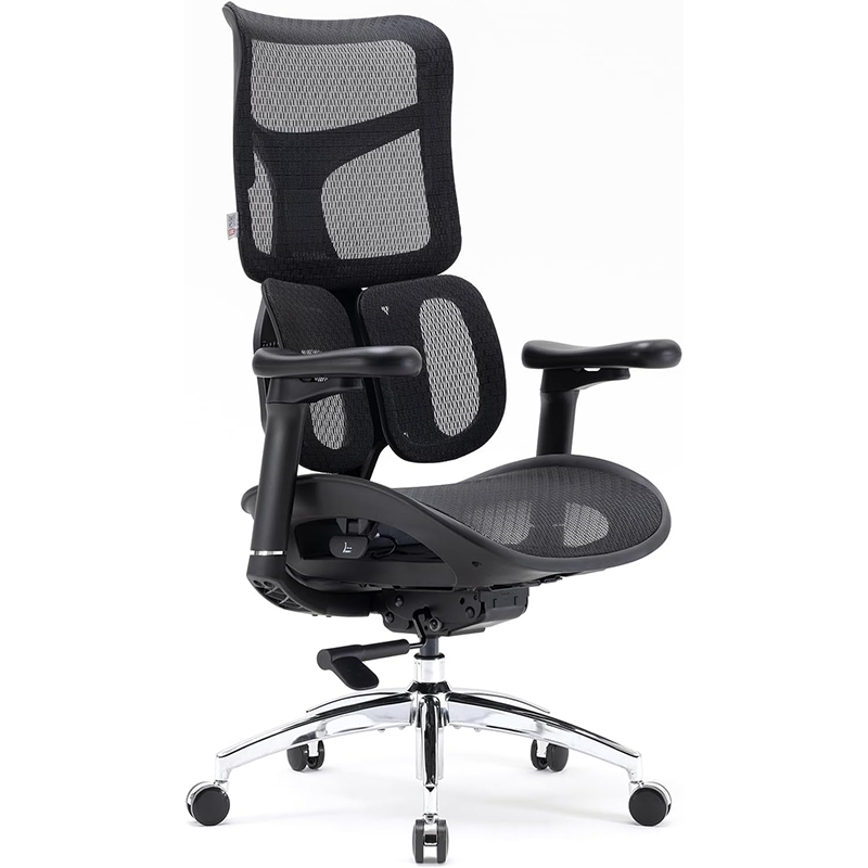 Black SIHOO Doro S100 Ergonomic Office Chair